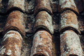 Mould on a roof