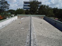 Dirty mouldy roof before being cleaned